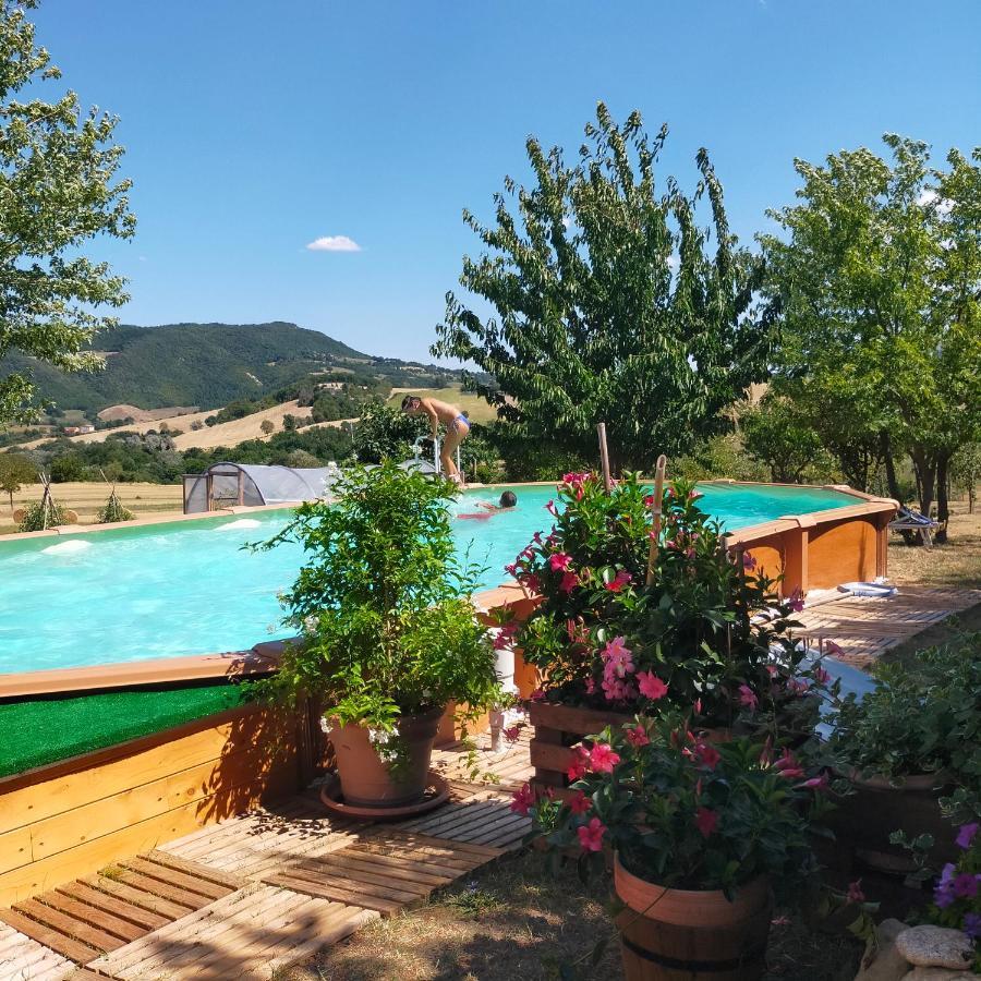 Apartament Mansarda Viti - Sguardo Su Frontone - Zewnętrze zdjęcie